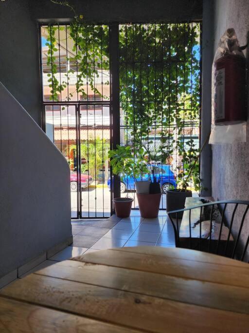 Small Studio Apt 5Min To Dt! Zihuatanejo Exterior photo